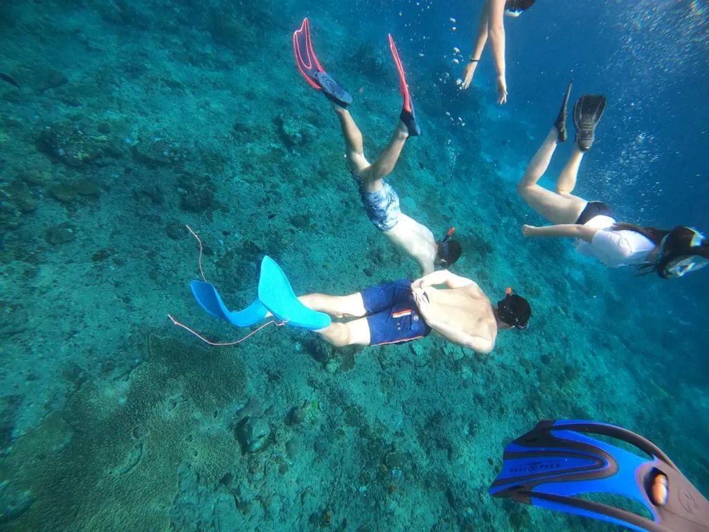 Snorkeling with Mantas at Nusa Penida