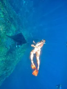 Swimming with Manta at Manta Point